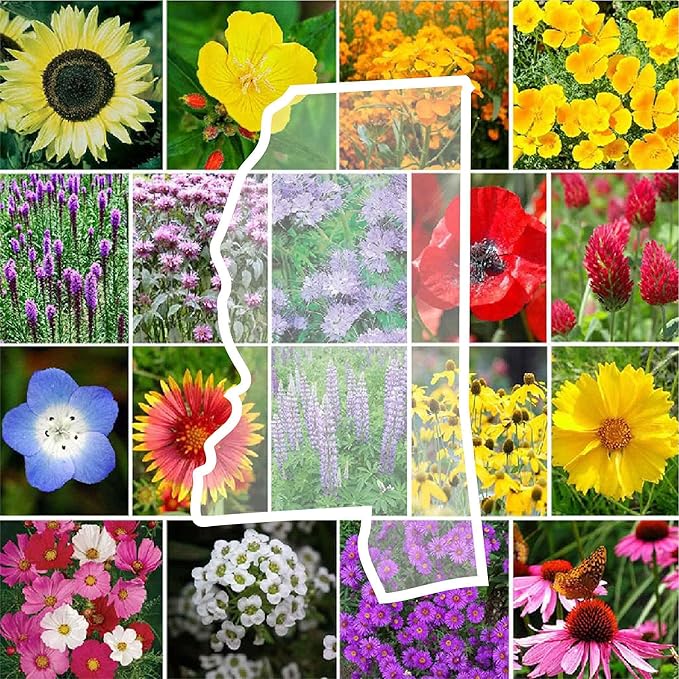 Eden Brothers Mississippi Wildflower Mixed Seeds for Planting, 1 oz, 30,000+ Seeds with Lupine, Sunflower | Attracts Pollinators, Plant in Spring or Fall, Zones