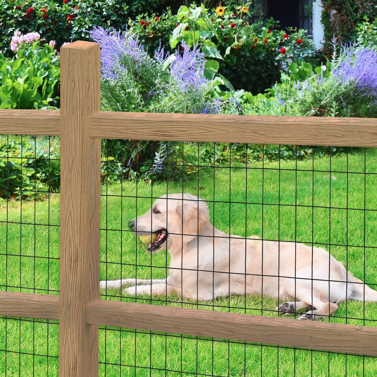Black PVC Coated Welded Wire Fence 36 Inch x 50 Foot, 2 Inch x 4 Inch 14GA, Garden Border Fencing Roll Vinyl Coating Metal Wire Mesh Hardware Cloth for Yard Vegetable Plant Protection
