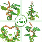 2 Pack 60 Inch Moss Pole Monstera Plant Support, Coir Moss Poles for Climbing Indoor Plants, Bendable Plant Stake Trellis for Potted Plant, Pothos, Philodendron