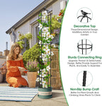 Garden Obelisk Trellis for Climbing Plants Outdoor 6.2 Ft Rose Bush Round Trellis for Pots Rustproof Metal Plant Flower Trellises for Clematis Vine Jasmine Support Outdoor Indoor (Black, 6.2ft)