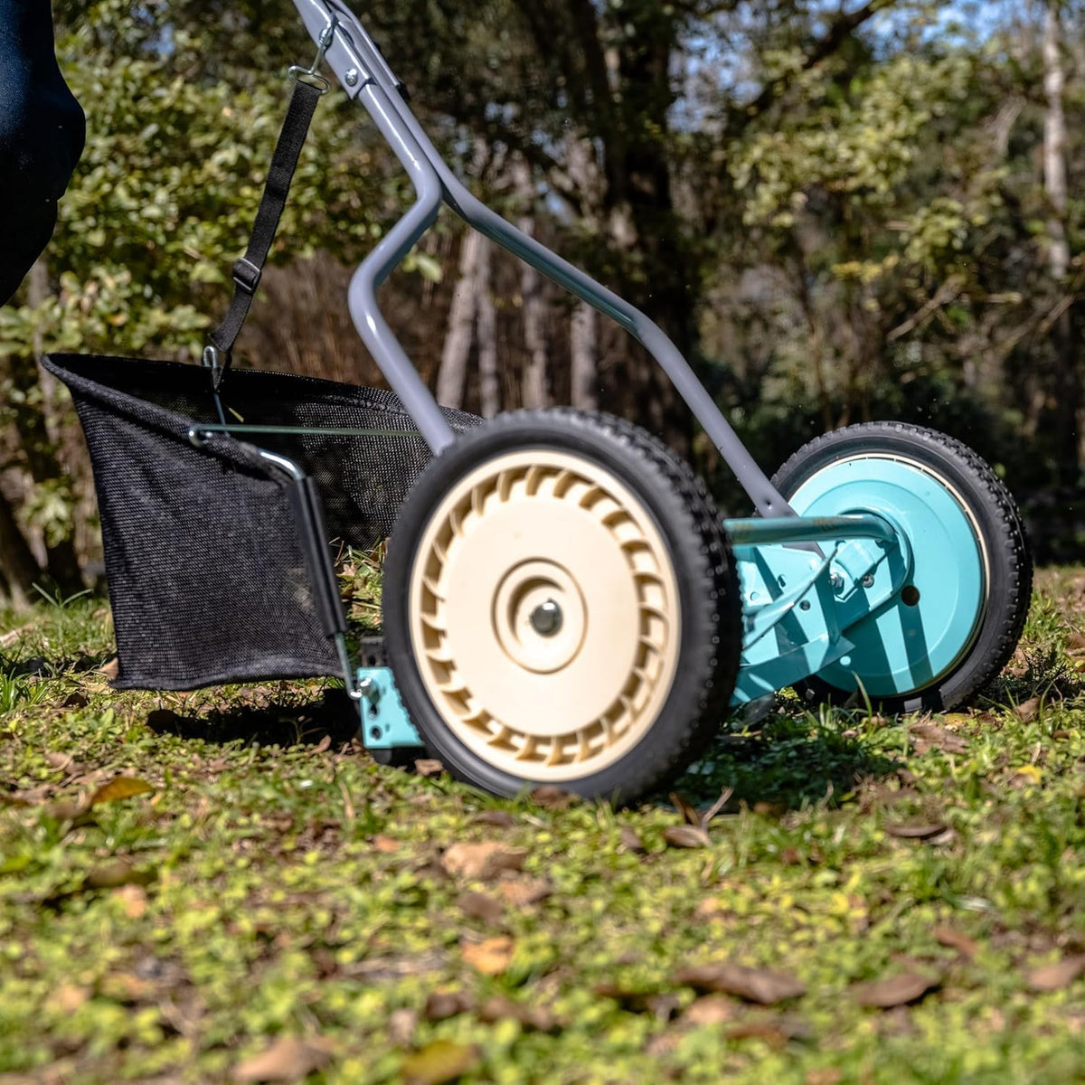 American Lawn Mower Company 1304-14GC 14-Inch 5-Blade Push Reel Lawn Mower with Grass Catcher, Mint