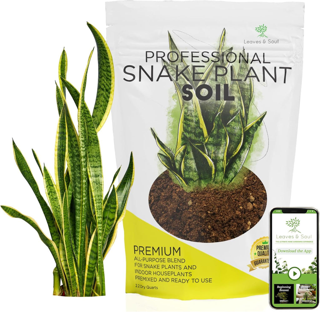 Professional Snake Plant Soil | Large 2.2 Quarts Ready to Use for Snake Plants | Peat Moss, Coco Coir, Perlite, Dolomite | Made in USA