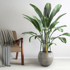 5.2FT Obelisk Trellis for Climbing Plants Outdoor, 16mm Rust-Proof Extra Thickened Plastic-Coated Metal Pipes, Indoor Climbing Support for Potted Plants, Vines, Flowers Stands,Black