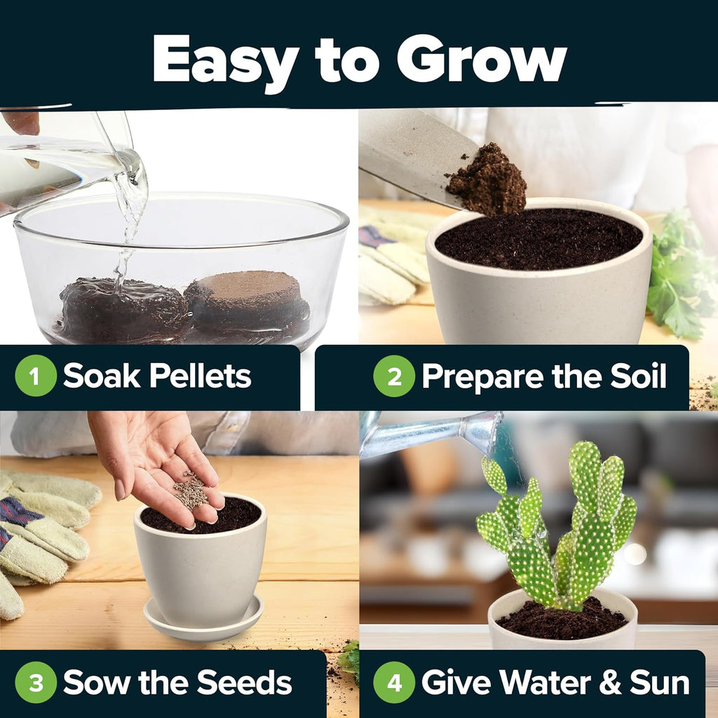 HOME GROWN Succulent & Cactus Seed Kit for Planting – [Enthusiasts Favorites] Premium Cactus & Succulent Starter Kit: 4 Planters, Drip Trays, Markers, Seeds Mix, Soil - DIY Gift Kits