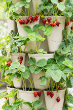Greenstalk Patented Large 5 Tier Vertical Garden Planter with Patented Internal Watering System Great for Growing a Variety of Strawberries, Vegetables, Herbs, & Flowers (Stunning Stone)