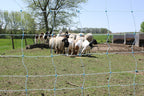 Starkline 35"x164' Electric Netting All-in-One Solar Kit for Goats, Sheep, Gardens, Beehives, Dogs, and More for Backyards, Homesteads, Farms and Ranches