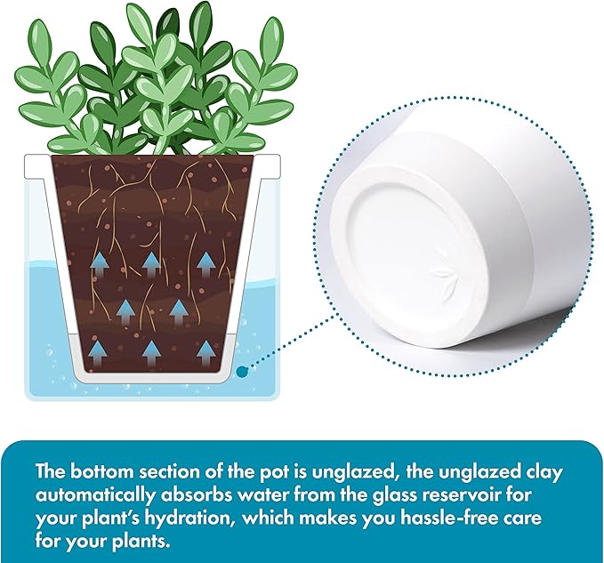 D'vine Dev 4 Inch Design Self Watering Planter for Indoor Plants, White Terracotta Pots with Cylinder Glass Cup, Set of 3, 37-Z-A-2-T