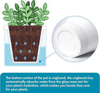 D'vine Dev 4 Inch Design Self Watering Planter for Indoor Plants, White Terracotta Pots with Cylinder Glass Cup, Set of 2, 37-Y-A-2
