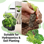 Herb & Salad Greens Seed Pods for All Hydroponics Growing Systems, 8 Pods with 600+ Seeds of Basil, Cilantro, Romaine, Kale, Arugula and Swiss Chard