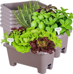 Oliz Self-Watering Rectangle Planter Boxes 8-Pack, 15.7-Inch Window Box Planter with Drainage Holes & Trays, Pots for Vegetables, Herbs, Flowers, Garden Windowsill Balcony (Coffee)
