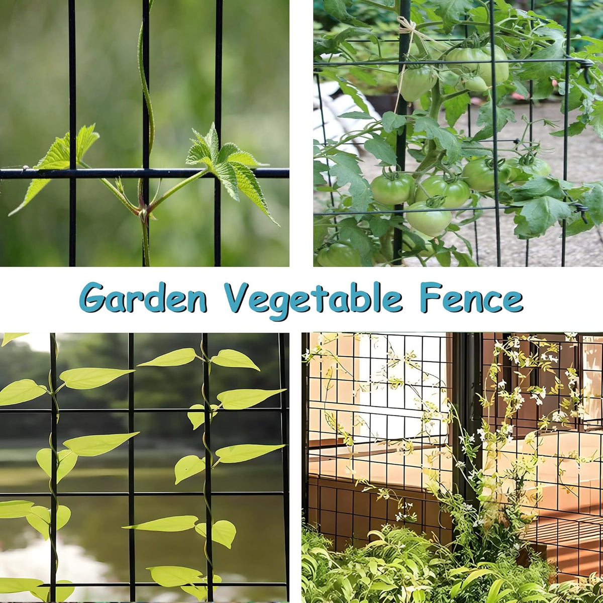 Black Metal Garden Fence, 60inch(H) x 100ft(L), 2 inch x 3 inch,14GA 2/3/4/5/6 Ft Tall Chicken Wire PVC Coated Welded Wire Mesh Roll for Dogs Border Yard Vegetable Plant Protection Poultry Netting