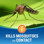 Cutter Backyard Bug Control Outdoor Fogger, Kills Mosquitoes, Fleas & Listed Ants, 16 Ounce, 3-Pack