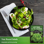 All The Year Round Lettuce Seed for Planting - 3 Packets with Instructions to Plant & Grow Adaptable Salad Greens in Your Home Vegetable Garden - Non-GMO Heirloom Variety - Survival Garden Seeds