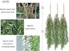 3 Fake Hanging Plants of Bamboo Stems with Roots, Faux Hanging Greenery Plastic Plants for Party Home Office Farmhouse Living Room Greenery Wall, Ceiling, Bathroom, Mantle, Spring Porch Decor
