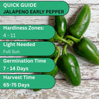 Woods Creek Seeds: Jalapeño Early Hot Pepper Seeds for Planting - Heirloom Non-GMO Jalapeno Seeds for Planting - Beginner Friendly Jalapeno Pepper Seed Pack for Indoor, Outdoor & Home Garden
