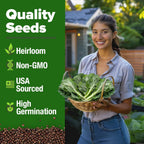 HOME GROWN Collard Green Seeds - 2 Pack - 600 Seeds for Fall Planting - High Germination 𝗡𝗢𝗡-𝗚𝗠𝗢 𝗨𝗦𝗔-𝗦𝗢𝗨𝗥𝗖𝗘𝗗 Heirloom Vegetable Seeds,Vates Collard Greens Seed Pack(Brassica oleracea)