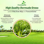 Outsidepride Oasis Bermuda Grass Seed - 25 lbs Warm Season, High Traffic, Heat Resistant, Drought-Tolerant, Low-Maintenance, Fast Growing Turf Grass for Lawn, Ideal for Sunny Areas, Thick Coverage