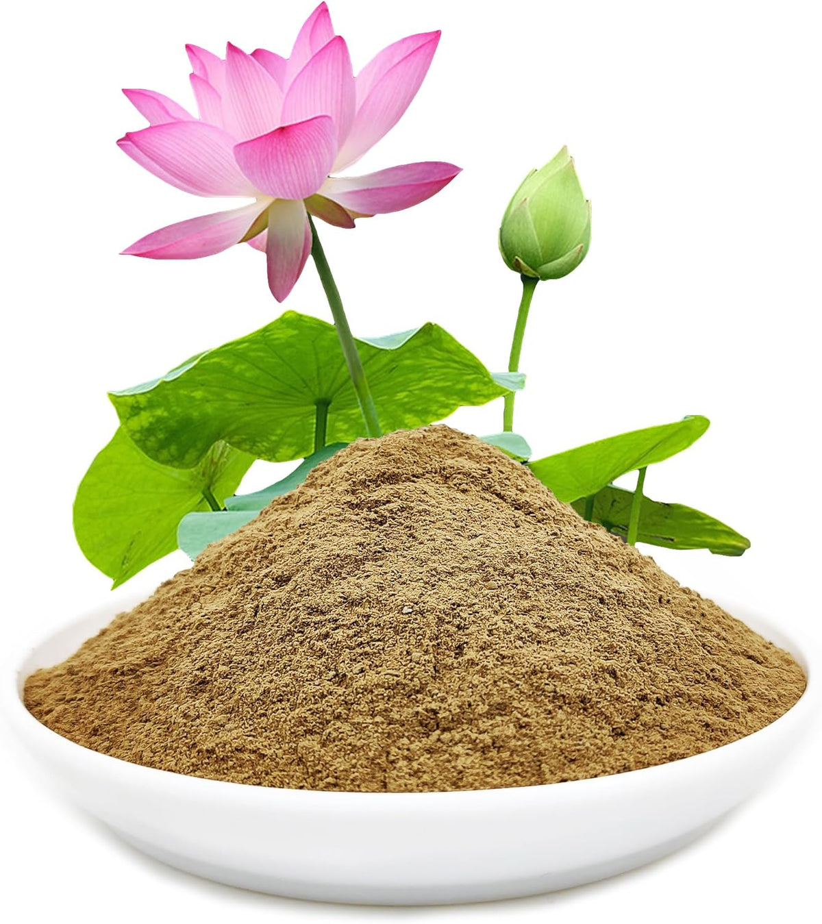 Natural Lotus Pond Mud for Bonsai Lotus Flower Planting, Garden Nutrient Soil Using for Water Lily and Water Plant, Pond Potting Media for Aquatic Plant (1BAG)