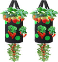 Miewslan 2 Pack Gardens Upside Down Strawberry Planter, Hanging Tomato Strawberry Grow Planter Garden Vegetable Planting Bags with Holes(Black)