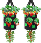 Miewslan 2 Pack Gardens Upside Down Strawberry Planter, Hanging Tomato Strawberry Grow Planter Garden Vegetable Planting Bags with Holes(Black)