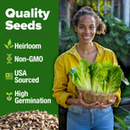 HOME GROWN 𝗨𝗦𝗔 𝗣𝗥𝗘𝗠𝗜𝗨𝗠 Parris Island Romaine Lettuce 3,500+ High Germination Heirloom 𝗡𝗢𝗡-𝗚𝗠𝗢 Lettuce for Planting Crisp Heads for Garden & Hydroponics, Indoor Outdoor (Lactuca Sativa)