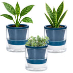 D'vine Dev 4 Inch Design Self Watering Planter for Indoor Plants, Blue Terracotta Pot with Cylinder Glass Cup, Set of 3, 37-Z-A-4-T