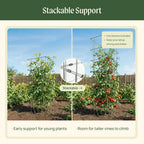 Vego Garden 4 Pack 11.5" Square Tomato Cage for Garden & Pots, Rust-Resistant Tomato Stakes Heavy Gauge Plant Cage Trellis Support for Climbing Vegetables Plants