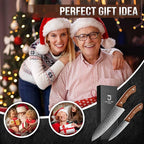 DRAGON RIOT Damascus Chef Knife Set, 2pcs VG10 Professional Kitchen Knife Set, Ultra Sharp Blade & Ergonomic Wooden Handle, Full Tang Forged Damascus Steel Kitchen Cooking Knife Set with Gift Box