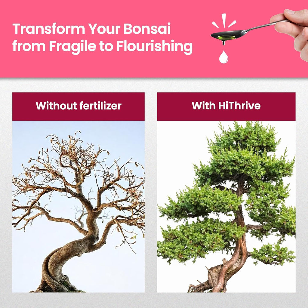 32oz Bonsai Tree Live Liquid Plant Food - Makes 64 Gallons of Bonsai Fertilizer Liquid, Premium Macronutrient Formula Enriched with Micronutrients for Healthy Roots, Branching & Foliage