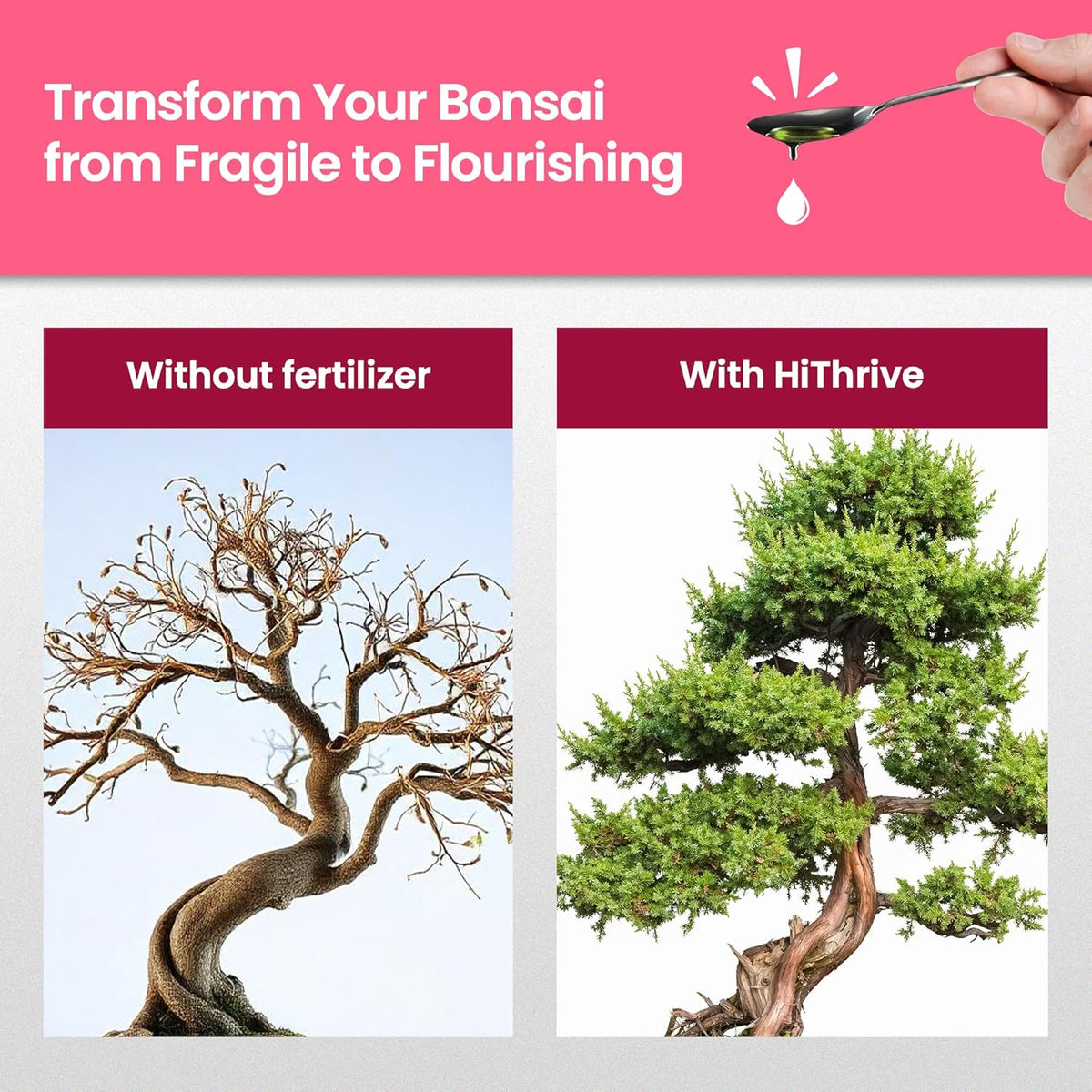 32oz Bonsai Tree Live Liquid Plant Food - Makes 64 Gallons of Bonsai Fertilizer Liquid, Premium Macronutrient Formula Enriched with Micronutrients for Healthy Roots, Branching & Foliage