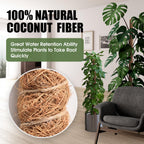 4 Pack Moss Pole 63 Inch Monstera Plant Support Moss Poles Bendable for Climbing Plants Longer Coco Coir Sticks Support Stakes Tall for Indoor Creeper DIY Shape Plants Grow Upwards