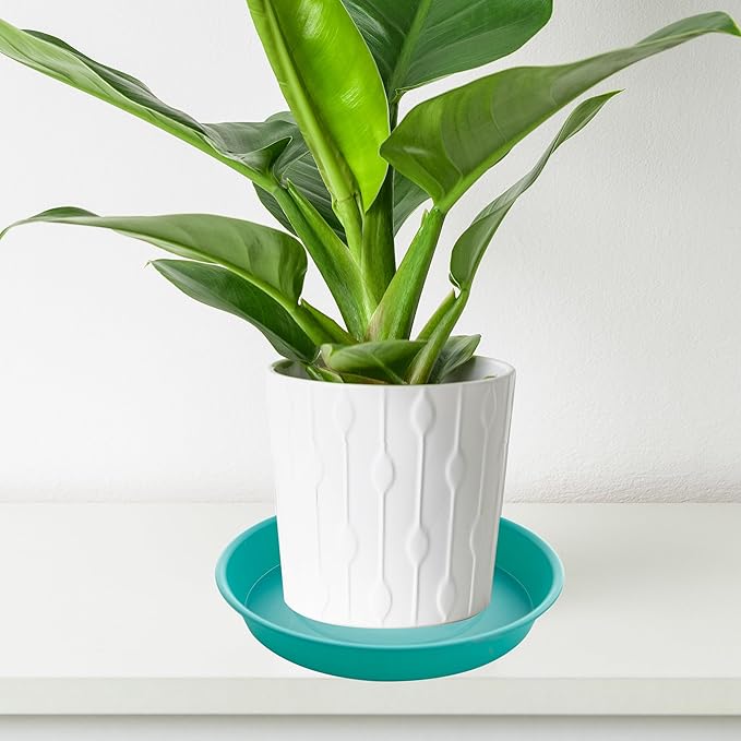 6 Pack of 12 inch Plant Saucer, Heavy Duty Plastic Plant Saucer 12" Round, Durable Plant Tray for Pots, Plant Saucers for Indoors, Plant Trays for Planter (12", Teal)