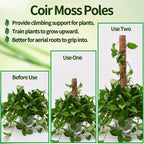 8 Pcs Moss Pole for Plants Monstera, Plant Support Stakes for Indoor Climbing Plants Grow Upwards, with 65ft Twist Ties, 13ft Jute Rope, 6.5ft Hook-and-Loop Strip