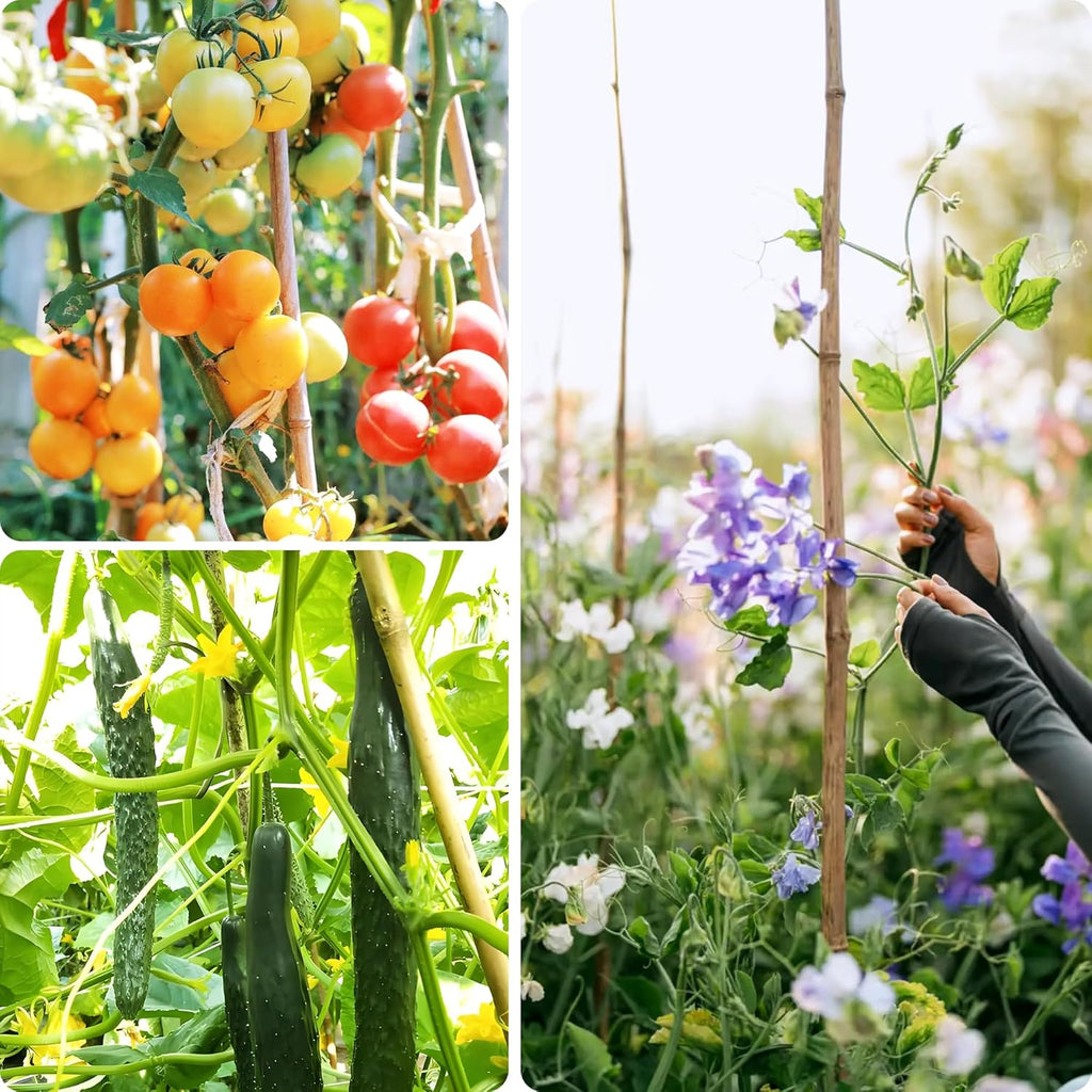 Bamboo Stakes, 50 Pack Bamboo Stakes 4ft, Natural Garden Stakes for Tomatoes and Climbing Plant Support, Sturdy Bamboo Sticks for Plants