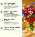Eden Brothers Massachusetts Wildflower Mixed Seeds for Planting, 1 oz, 30,000+ Seeds with Catchfly, Sweet William | Attracts Pollinators, Plant in Spring or Fall, Zones
