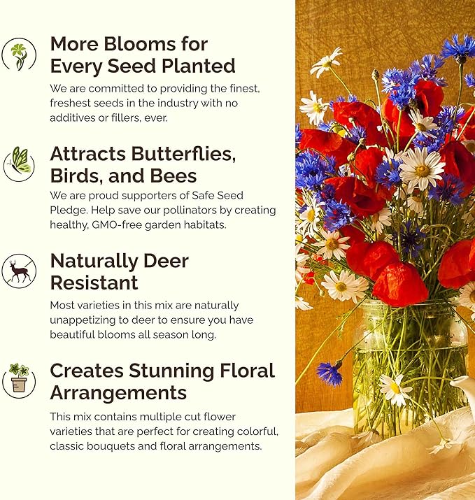 Eden Brothers Massachusetts Wildflower Mixed Seeds for Planting, 1 oz, 30,000+ Seeds with Catchfly, Sweet William | Attracts Pollinators, Plant in Spring or Fall, Zones