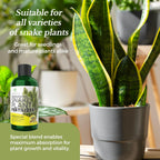 Professional Liquid Snake Plant Fertilizer | 3-1-2 Concentrate for Plants and Flowers | Multi-Purpose Blend & Gardening Supplies | 8 oz Bottle