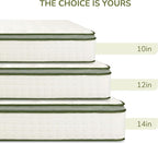 Queen Mattress, 10 Inch Innerspring Queen Size Hybrid Mattress with Individually Pocket Innerspring for Cool Motion Isolation & Silent Sleep, Pressure Relief, Edge Support,Medium Firm