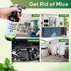 Kate Naturals Peppermint Oil Spray for Rodents, Squirrels, Mouse, Bat, Rat, Car Engines (16oz, Non-Toxic Rodent Repellent, Pet Safe)