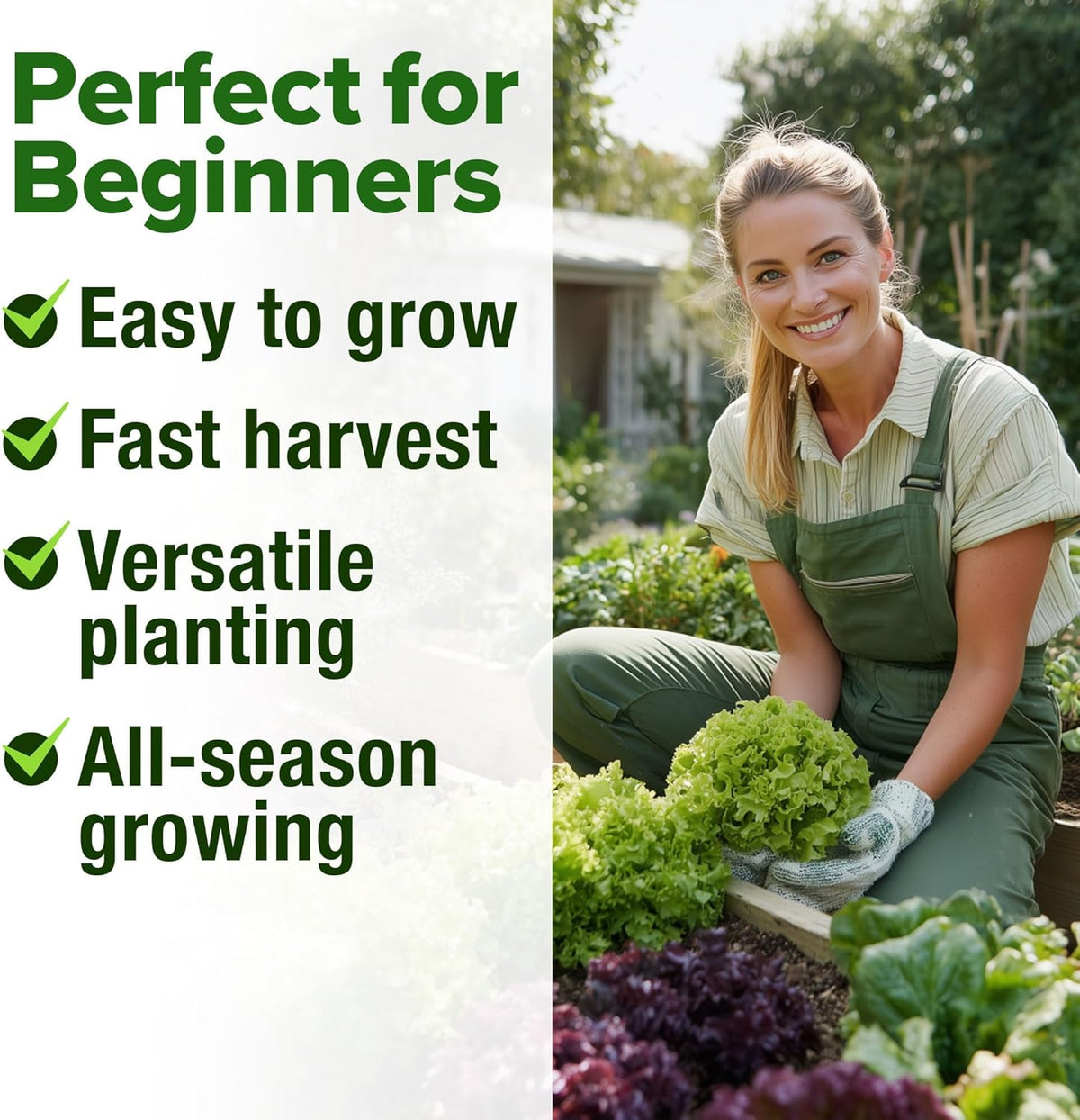 HOME GROWN 21,600+ Lettuce Seeds for Planting - 20 Heirloom Varieties, Non-GMO USA - Romaine, Butterhead, Iceberg, Leaf Lettuce, Spinach & Kale - Indoor, Outdoor & Hydroponic Garden Kit