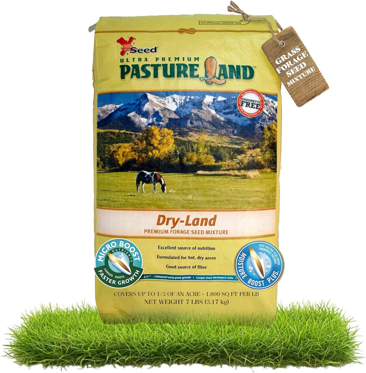 X-Seed Pasture Land Dry-Land Forage Seed Mixture with Micro-Boost – Tall Fescue Orchard Grass Ryegrass Endophyte Free Pasture for Safe Nutrition of Livestock, Formulated for Dry Areas – 7-Pound Bag