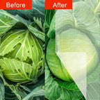 Agfabric Bird Netting 26" Hx30 W Garden Netting Insect Pest Barrier,Plant Cover Fruit Tree Netting Mesh Protection Bag with Drawstring,White