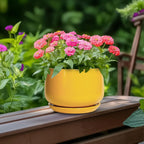 G EPGardening Ceramic Plant Pot - 6 Inch Ceramic Planter with Drainage Hole and Tray, Modern Round Planter, Flower Pot for Indoor Outdoor Plants, Plants Lovers Gifts, House Garden Decor, Yellow