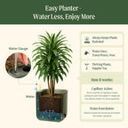 15 Inch Self-Watering Planter for Indoor Plants – Large Modern Plant Pot with Built-In Water Reservoir, Ideal for Monstera, Fiddle Leaf Fig, Palms & Peace Lily, Without Trellis (1, Sage Green)