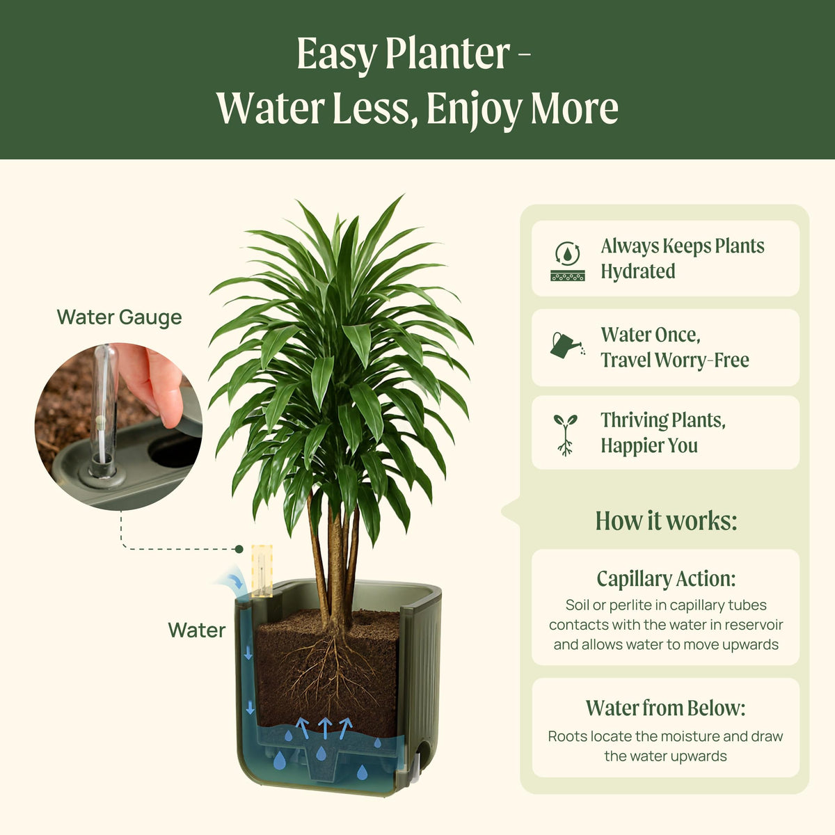 15 Inch Self-Watering Planter for Indoor Plants – Large Modern Plant Pot with Built-In Water Reservoir, Ideal for Monstera, Fiddle Leaf Fig, Palms & Peace Lily, Without Trellis (1, Sage Green)