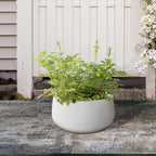 Kante 15.7" Dia Round Concrete Planter, Outdoor Indoor Garden Plant Pots with Drainage Hole and Rubber Plug, Modern Curvaceous Design, Pure White