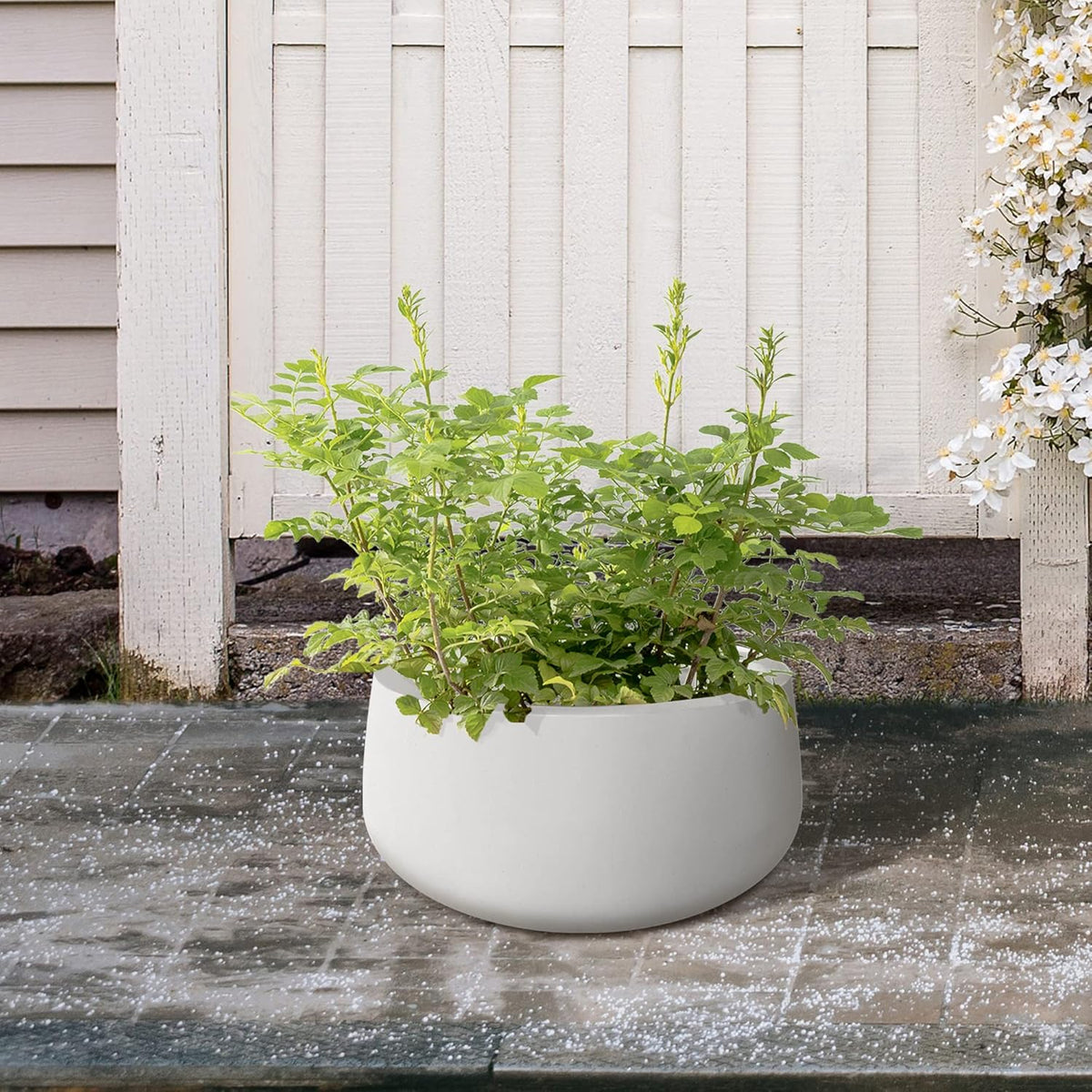 Kante 15.7" Dia Round Concrete Planter, Outdoor Indoor Garden Plant Pots with Drainage Hole and Rubber Plug, Modern Curvaceous Design, Pure White