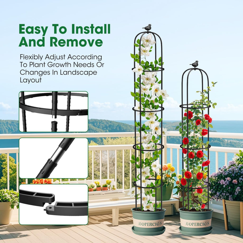 Garden Obelisk Trellis for Climbing Plants Outdoor 6.2 Ft Rose Bush Round Trellis for Pots Rustproof Metal Plant Flower Trellises for Clematis Vine Jasmine Support Outdoor Indoor (Black, 6.2ft)