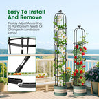 Garden Obelisk Trellis for Climbing Plants Outdoor 6.2 Ft Rose Bush Round Trellis for Pots Rustproof Metal Plant Flower Trellises for Clematis Vine Jasmine Support Outdoor Indoor (Black, 6.2ft)