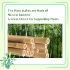 Garden Stakes 7FT, Natural Bamboo Stakes 7 Feet, 3/4" D Thicker Heavy Duty Plants Stakes 15 Pack for Tomatoes, Beans, Flowers, Potted and More Climbing Plants